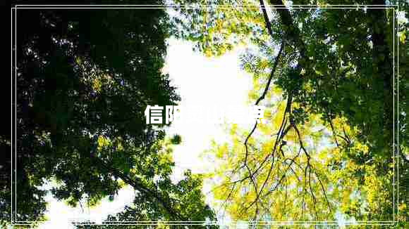 信陽靈山景點