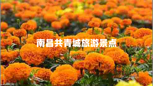 南昌共青城旅游景點