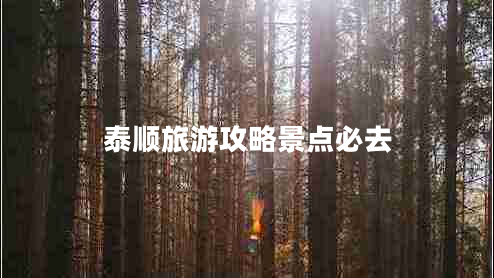 泰順旅游攻略景點必去