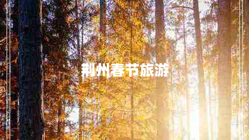 荊州春節(jié)旅游