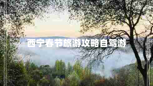 西寧春節(jié)旅游攻略自駕游