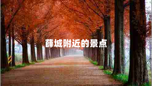 薛城附近的景點