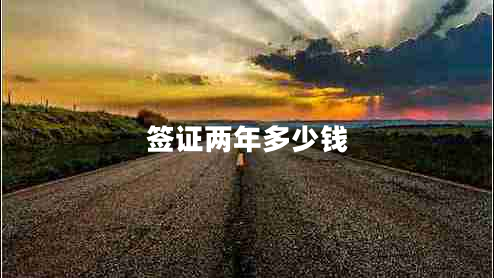 簽證兩年多少錢