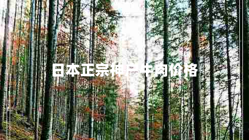 日本正宗神戶牛肉價(jià)格