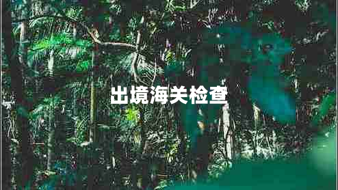 出境海關檢查