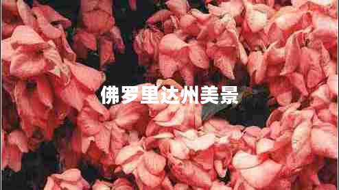 佛羅里達(dá)州美景