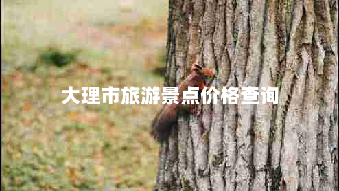 大理市旅游景點(diǎn)價(jià)格查詢