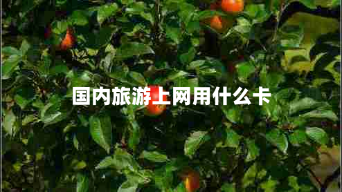 國內(nèi)旅游上網(wǎng)用什么卡