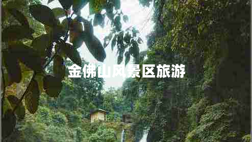 金佛山風景區(qū)旅游