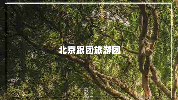 北京跟團(tuán)旅游團(tuán)