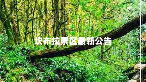 坎布拉景區(qū)最新公告
