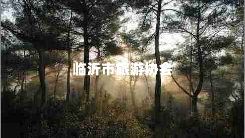 臨沂市旅游協(xié)會