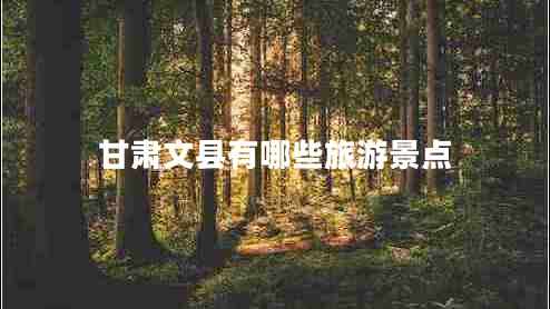 甘肅文縣有哪些旅游景點