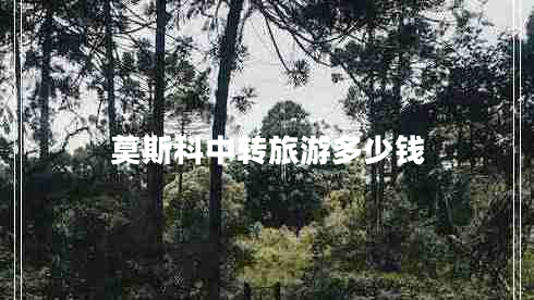 莫斯科中轉(zhuǎn)旅游多少錢