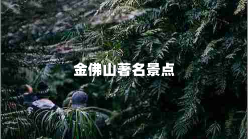 金佛山著名景點