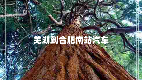 蕪湖到合肥南站汽車