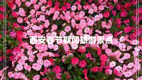 西安春節(jié)期間旅游景點(diǎn)