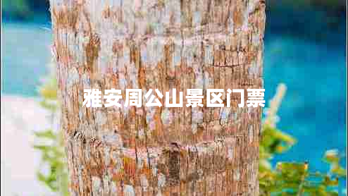 雅安周公山景區(qū)門票