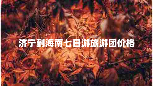 濟寧到海南七日游旅游團價格
