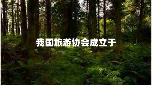 我國旅游協(xié)會成立于