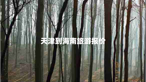 天津到海南旅游報(bào)價(jià)