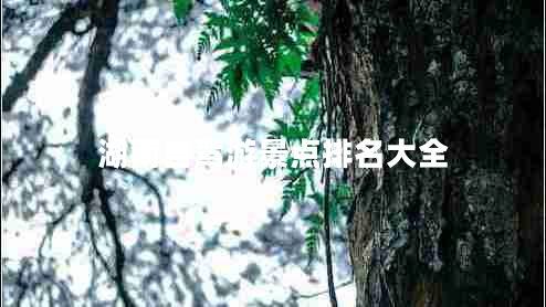 湖南自駕游景點排名大全