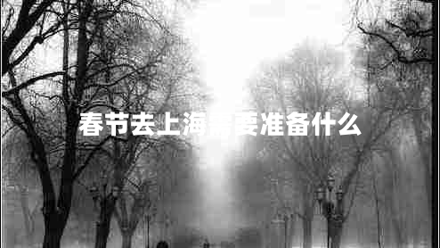 春節(jié)去上海需要準備什么
