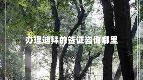 辦理迪拜的簽證咨詢哪里