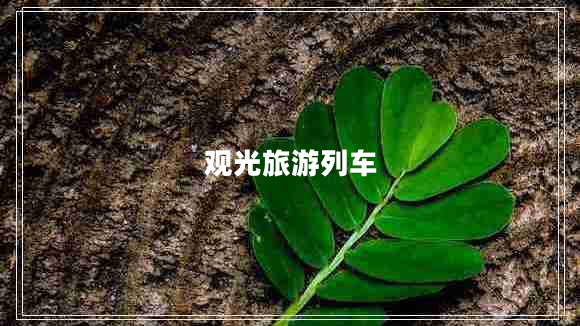 觀光旅游列車 觀光旅游列車