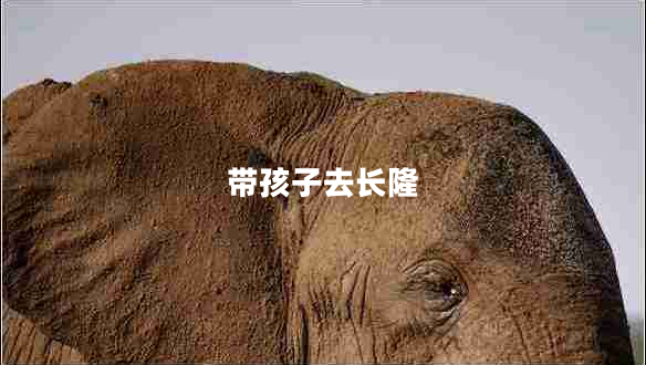 帶孩子去長隆