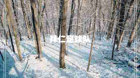 拜仁足球隊(duì)