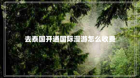 去泰國(guó)開通國(guó)際漫游怎么收費(fèi)