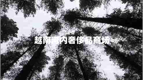 越南河內(nèi)奢侈品商場