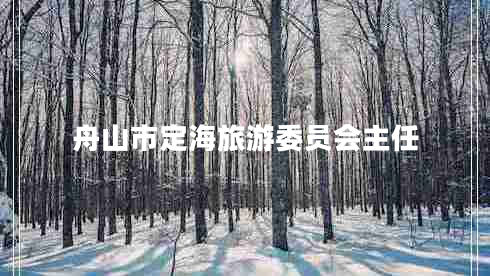 舟山市定海旅游委員會(huì)主任