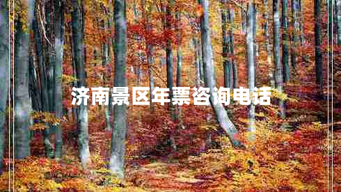 濟南景區(qū)年票咨詢電話