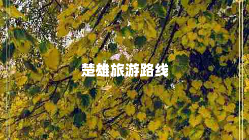 楚雄旅游路線