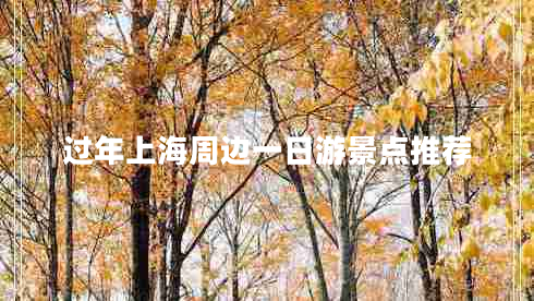 過年上海周邊一日游景點推薦