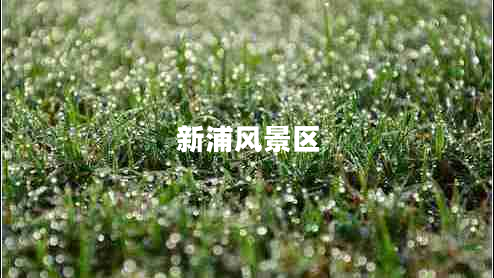 新浦風(fēng)景區(qū)