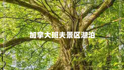 加拿大班夫景區(qū)湖泊