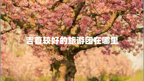 吉首較好的旅游團(tuán)在哪里