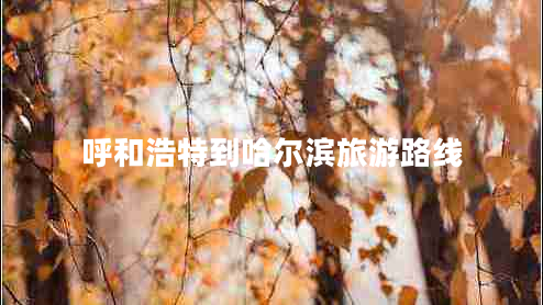 呼和浩特到哈爾濱旅游路線