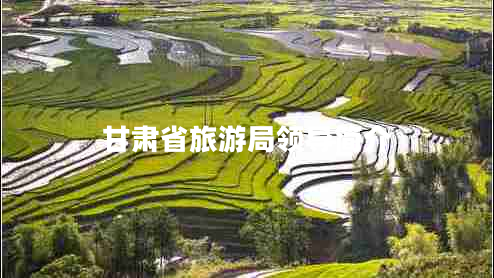 甘肅省旅游局領(lǐng)導(dǎo)簡(jiǎn)介