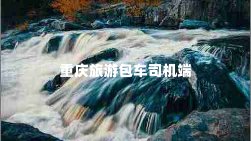 重慶旅游包車司機(jī)端