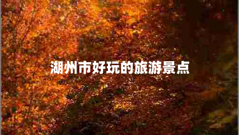 湖州市好玩的旅游景點