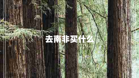 去南非買什么