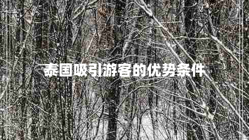 泰國(guó)吸引游客的優(yōu)勢(shì)條件