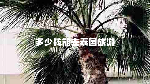 多少錢能去泰國旅游