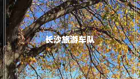 長沙旅游車隊