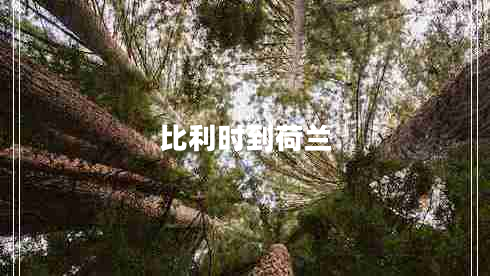 比利時到荷蘭