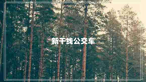 新干線公交車